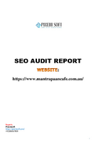 mantrapaancafe website audit report 1.pdf